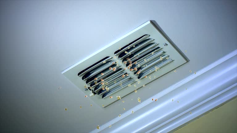 Best Dryer Vent Cleaning Services  in Talluh, LA