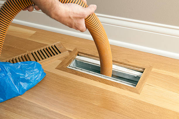 Best Affordable Air Duct Cleaning  in Talluh, LA