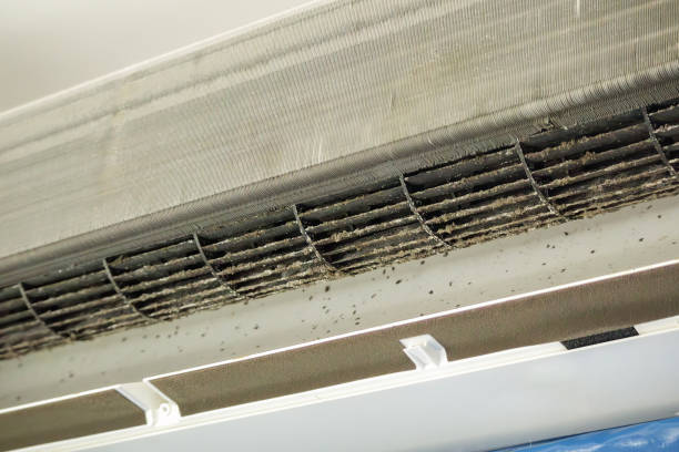 Best Duct Cleaning for Offices  in Talluh, LA