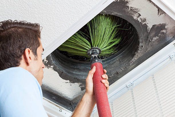 Best Emergency Air Duct Cleaning  in Talluh, LA